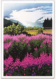 Fireweed Fields, Ed. 167 12x18 $B