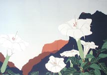 Sunset Blossoms, Ed 57, 18 x 26, $D