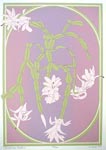 Christmas Cactus, Ed 100, 9x13