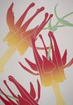 Crimson Columbine, Ed 60, 9x13