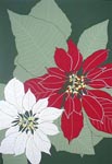 Poinsettia, Ed 80, 9x13