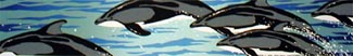Dolphin Dance, Ed. 162, 2x12, $G