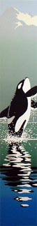 Orca, Ed. 167, 3x18